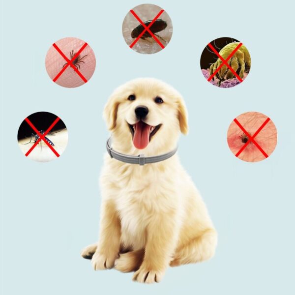 New 8 Month Dog Anti Flea And Tick Collar Dog Antiparasitic Collar Pet Accessories Cats Collars Pet Product Puppy Perro Supplies - Image 2