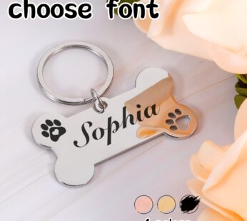 Personalized Pet Dog Name Tags Shiny Steel Free Engraving Kitten Puppy Anti-lost Collars Tag Collar for Dogs Cats Nameplate